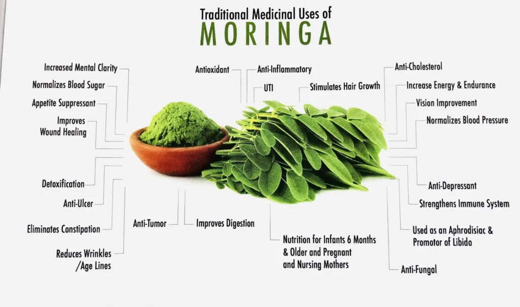 Moringa Capsule Guide